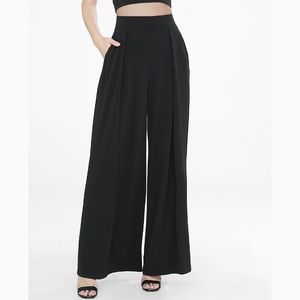 Express wide leg pleated pants